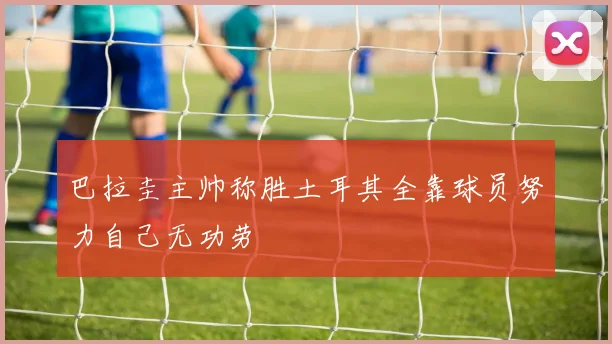巴拉圭主帅称胜土耳其全靠球员努力自己无功劳